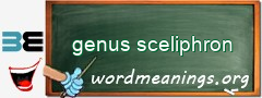 WordMeaning blackboard for genus sceliphron